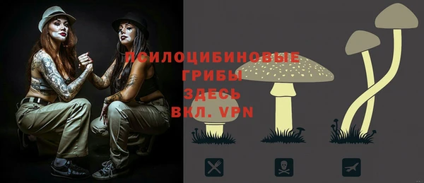 дмт Карталы
