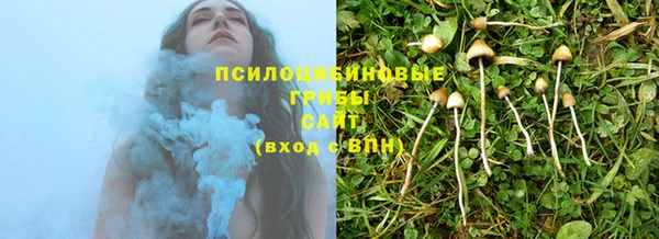 спайс Карпинск
