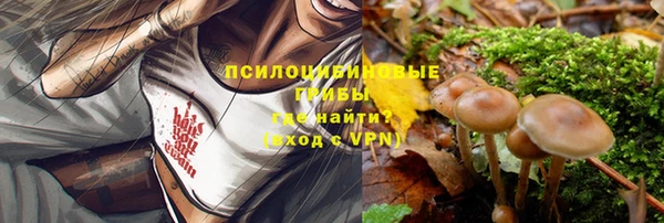 дмт Карталы