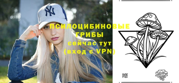 спайс Карпинск