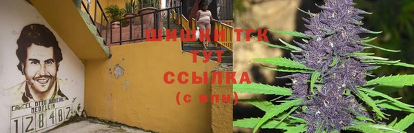 спайс Карпинск